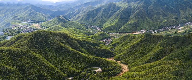 中国大竹海